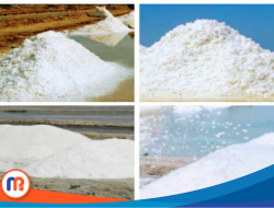 Telaah Terhadap Valume Impor Garam Indonesia Selama Kurun Waktu Lima Tahun