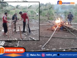 Polisi Gerebek Arena Sabung Ayam di Ketapang, Penjudi Lari Berhamburan