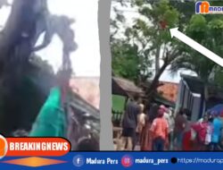 Seorang Pria di Sampang Tewas Tersengat Listrik Saat Motong Ranting Pohon