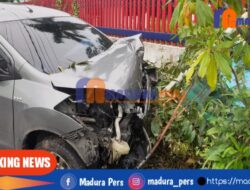 Kecelakaan Tunggal, Mobil Tabrak Pohon dan Tiang BLH