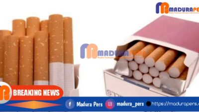 Setdakab Sumenep Gencarkan Diseminasi Rokok Ilegal