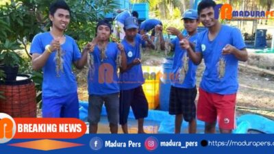 DPMPTSP Sebut Masih Minim Tambak Udang Legal di Sumenep