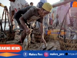 Begini Aturan Terbaru Penjualan Ikan ke Luar Sumenep