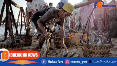 Begini Aturan Terbaru Penjualan Ikan ke Luar Sumenep