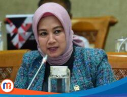 PPP Desak Pemerintah Kurangi Impor Kedelai