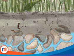 Hari Air Sedunia 2022