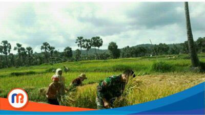 DKPP Kabupaten Sumenep