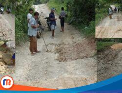 Tak Kunjung Diperbaiki, Jalan Poros Kabupaten Rusak Dikeluhkan Pengguna Jalan dan Masyarakat