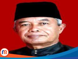 Skema Anggaran Program Satu Juta Guru PPPK Melalui DAU Dinilai Bebani APBD