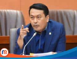 Pemerintah Larang Ekspor CPO, Rudi Hartono: Harga Sawit Anjlok, Petani Jadi Serba Salah