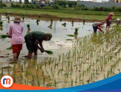 DKPP Sumenep Upayakan Asuransi bagi Petani di Tengah Cuaca Ekstrem 