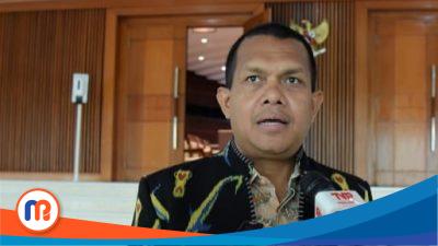 Wakil Ketua Komisi IX DPR RI Emanuel Melkiades Laka Lena