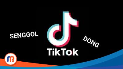 "Senggol Dong" istilah netizen yang lagi viral di platform TikTok
