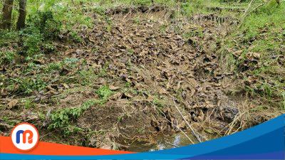 Akses Jalan Desa Gangsean Longsor Karena Diguyur Hujan