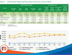 BPS: Kinerja Ekspor Indonesia 2023