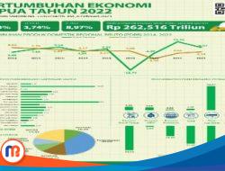 Pertumbuhan Ekonomi Papua 2022