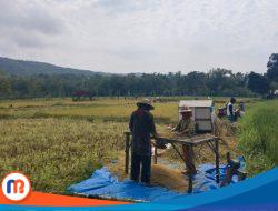 Permudah Akses Pupuk Bersubsidi, DKPP Sumenep Imbau Petani Bergabung ke Poktan 