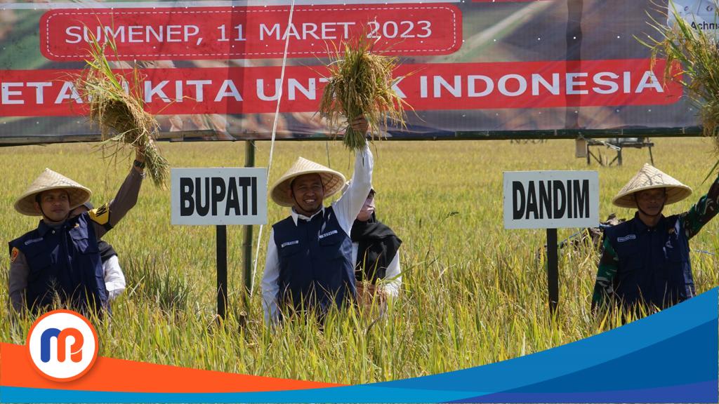 Bupati Sumenep, Achmad Fauzi bersama Kepala Dinas Ketahanan Pangan dan Pertanian (DKPP) Kabupaten serta sejumlah Kelompok Tani dalam acara panen raya padi Nusantara pada
