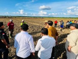 Presiden Jokowi Tinjau Lumbung Pangan di Keerom Papua