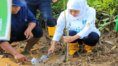 Gubernur Jatim Dorong Hilirisasi dari Pengembangan Ekosistem Mangrove