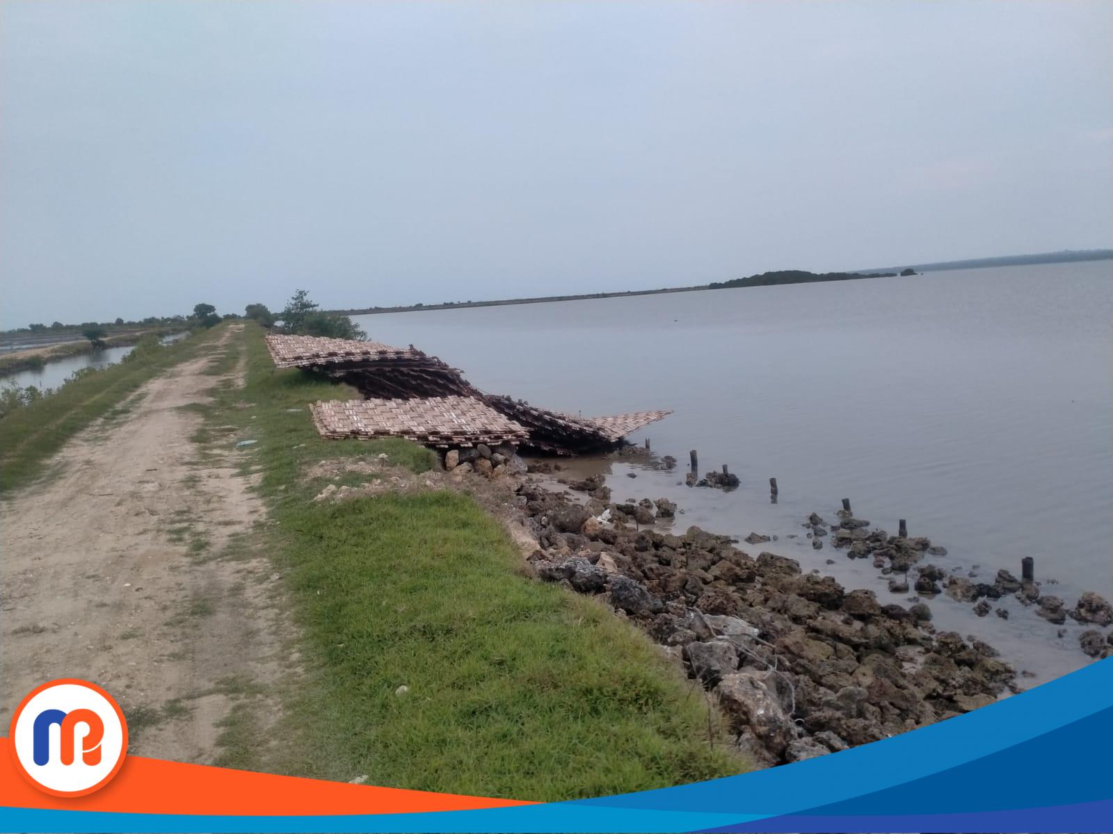 Rencana pembangunan tambak garam di pesisir Pantai Gersik Putih, Dusun Tapakerbau, Kecamatan Gapura, Kabupaten Sumenep (Sumber foto: Istimewa, 2023).