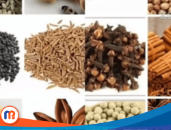 Masak-Memasak: Bumbu Rempah Bikin Makin Kece di Dapur