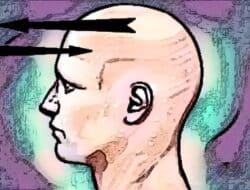 Empirisme: Menggali Kebenaran Lewat Pengalaman