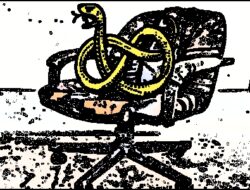 Pembusukan Politik: Ketika Kejujuran dan Kepentingan Bersinggungan