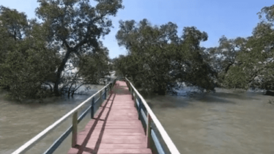 Labuhan Mangrove Education Park terletak di Desa Labuhan, Kecamatan Sepulu, Kabupaten Bangkalan, Madura, menjadi destinasi wisata edukatif yang menawarkan pengalaman unik untuk mengenal keindahan alam serta memperluas pengetahuan tentang konservasi mangrove