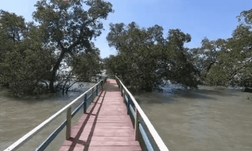 Labuhan Mangrove Education Park terletak di Desa Labuhan, Kecamatan Sepulu, Kabupaten Bangkalan, Madura, menjadi destinasi wisata edukatif yang menawarkan pengalaman unik untuk mengenal keindahan alam serta memperluas pengetahuan tentang konservasi mangrove