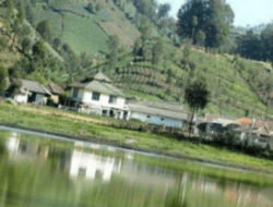 Surga Dunia Ada di Desa Wisata Ranu Pani, Lumajang