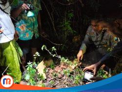 Heboh! Warga Desa Tanjung Temukan Bayi Tak Bertuan, Polisi Cari Ibu Kandung