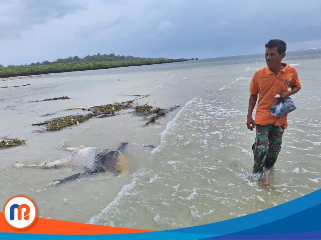 Kondisi mayat laki-laki yang ditemukan warga di pinggir pantai pada Sabtu (21/12/2024)