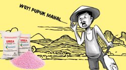 Ilustrasi petani di Kabupaten Sampang menjerit karena harga pupuk mahal di atas HET