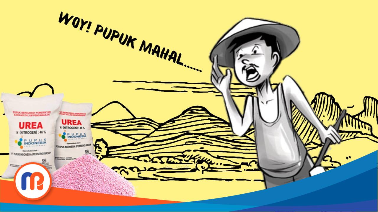 Ilustrasi petani di Kabupaten Sampang menjerit karena harga pupuk mahal di atas HET