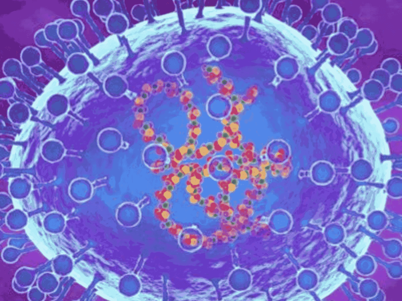 Penampakan foto Virus Human Metapheumovirus (HMPV) yang sudah masuk di Indonesia