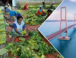 UMK 2025 di Madura: Kesenjangan Upah dan Tantangan Perekonomian