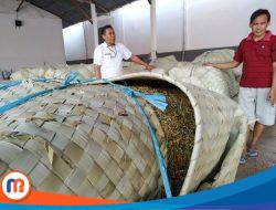 Harga Tembakau Naik, Petani Sumenep Untung, Buruh Pabrik Rokok dapat Pekerjaan