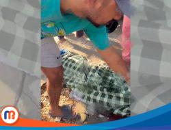 Kecelakaan Maut, Seorang Pengendara Motor Tewas Terlindas Truk di Banyuates Sampang