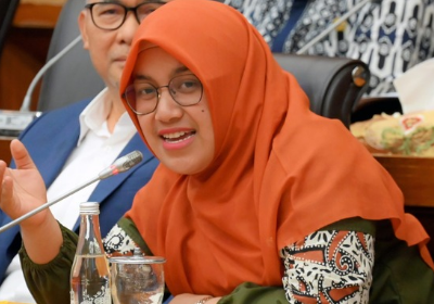 Anggota Komisi XII DPR RI Meitri Citra Wardani