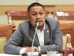 Marshmallow Halal Ternyata Mengandung Babi, DPR Desak Investigasi