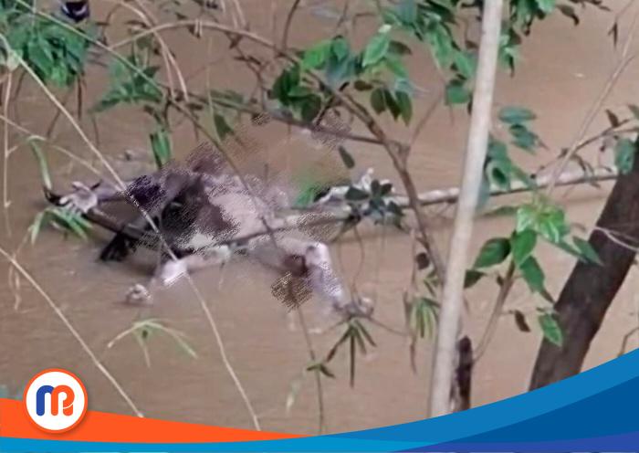 Mayat Terapung di sungai di Dusun Majungan Desa Pademawu Timur, Pamekasan, ditemukan tanpa identitas yang membuat heboh warga