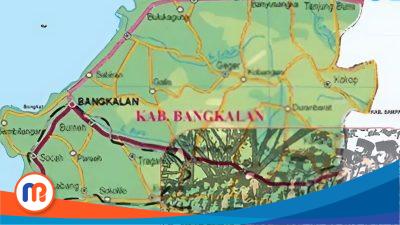 ASN Pemkab Bangkalan 2019–2024: Penurunan Jumlah dan Pergeseran Tingkat Pendidikan