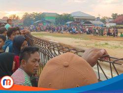 Kronologi Lengkap Tragedi Karapan Sapi Berujung Maut di Sumenep