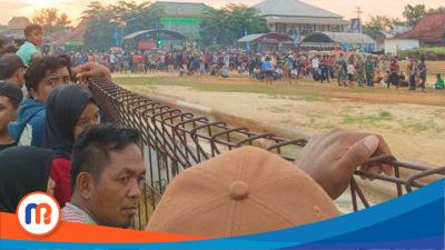 Kronologi Lengkap Tragedi Karapan Sapi Berujung Maut di Sumenep