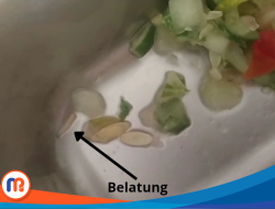 Program MBG di SMAN 1 Banyuates Ditemukan Belatung, Siswa Resah