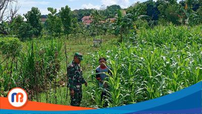 Serma Agus Salim melaksanakan pendampingan pertanian didesa Bujur Tengah